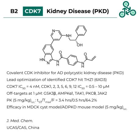 Dalriada Small Molecule Highlights 03 - B2