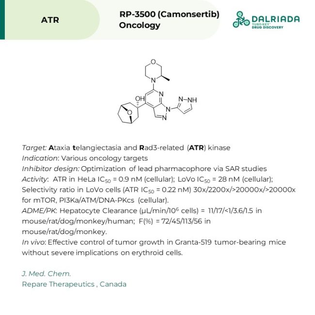 RP-3500 (Camonsertib)